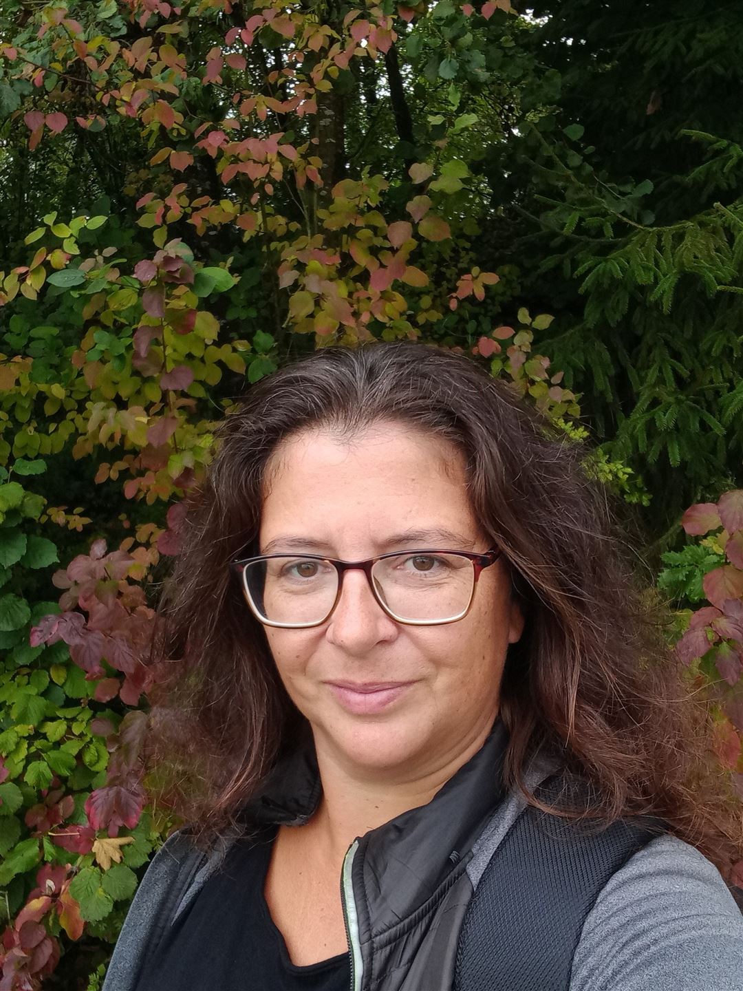 Portrait von  Monika Thies